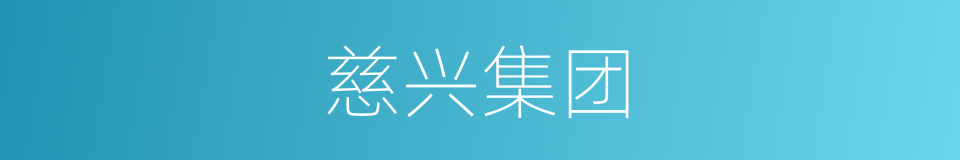 慈兴集团的同义词