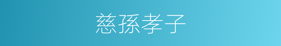 慈孫孝子的意思