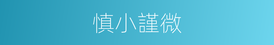 慎小謹微的意思