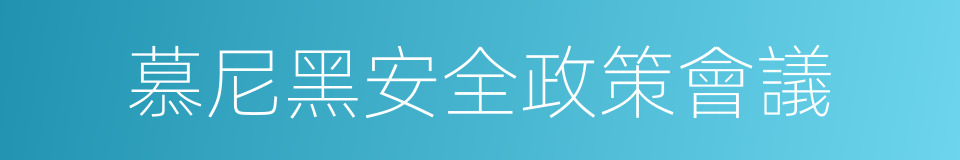 慕尼黑安全政策會議的同義詞