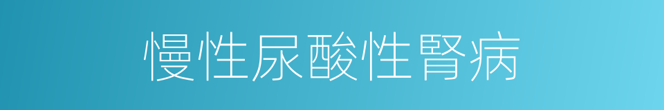 慢性尿酸性腎病的同義詞