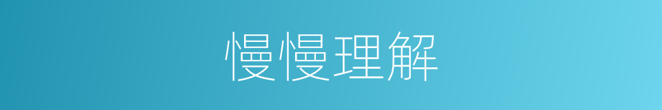 慢慢理解的同义词