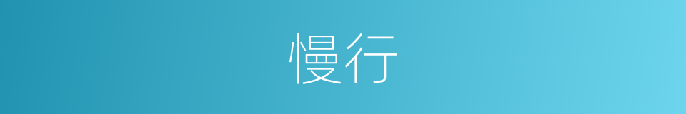 慢行的意思