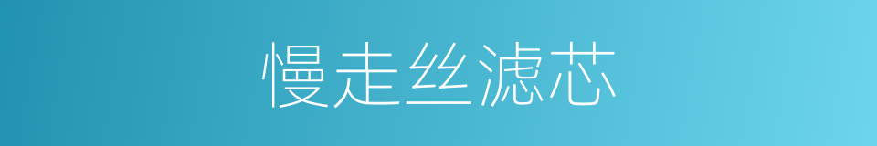 慢走丝滤芯的同义词