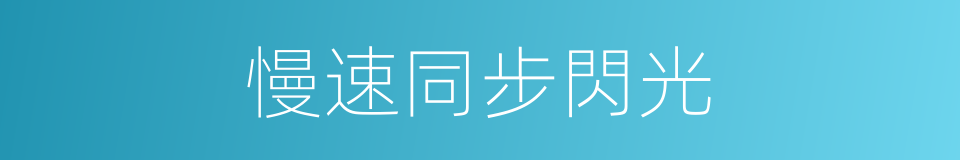 慢速同步閃光的同義詞