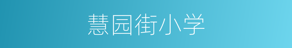 慧园街小学的同义词
