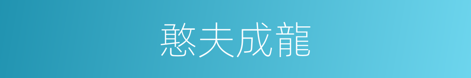 憨夫成龍的同義詞