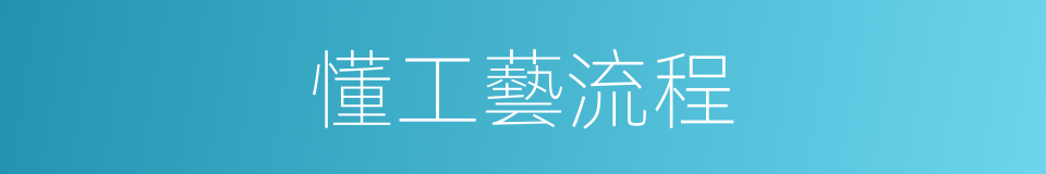 懂工藝流程的同義詞