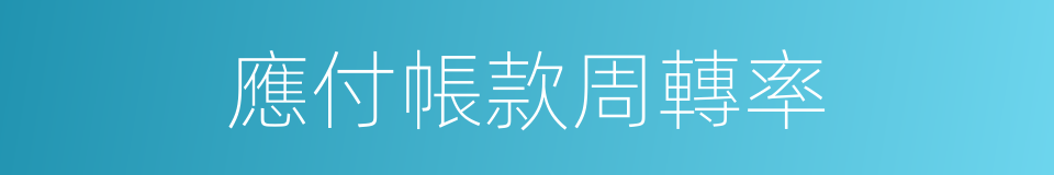 應付帳款周轉率的同義詞