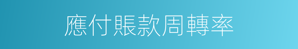 應付賬款周轉率的同義詞