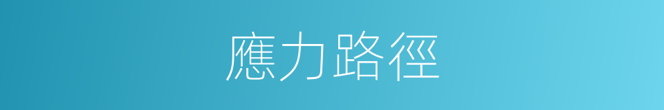 應力路徑的同義詞
