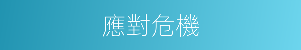 應對危機的同義詞
