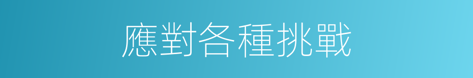 應對各種挑戰的同義詞