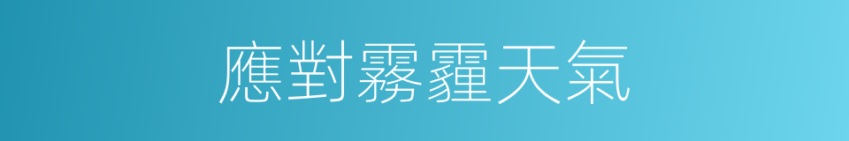 應對霧霾天氣的同義詞