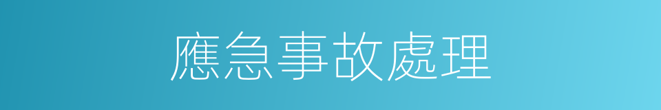 應急事故處理的同義詞