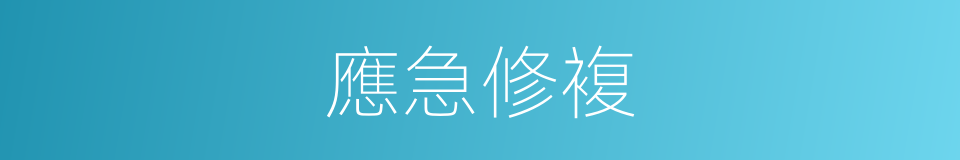 應急修複的同義詞
