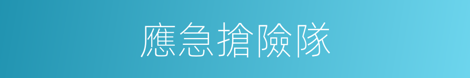 應急搶險隊的同義詞