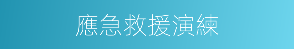 應急救援演練的同義詞