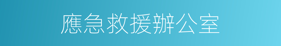 應急救援辦公室的同義詞