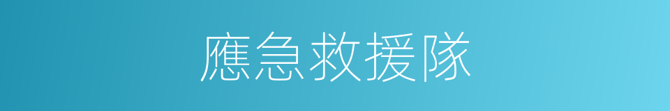 應急救援隊的同義詞