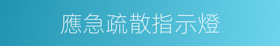 應急疏散指示燈的同義詞