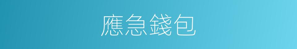 應急錢包的同義詞