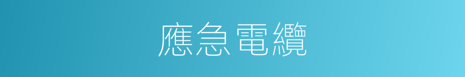 應急電纜的同義詞