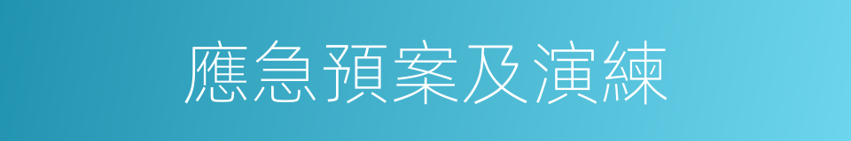 應急預案及演練的同義詞