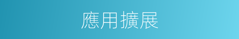 應用擴展的同義詞