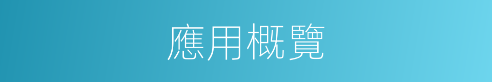 應用概覽的同義詞