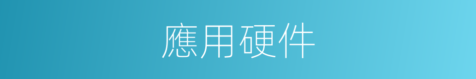 應用硬件的同義詞