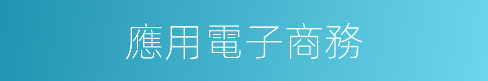 應用電子商務的同義詞