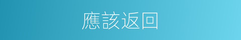 應該返回的意思