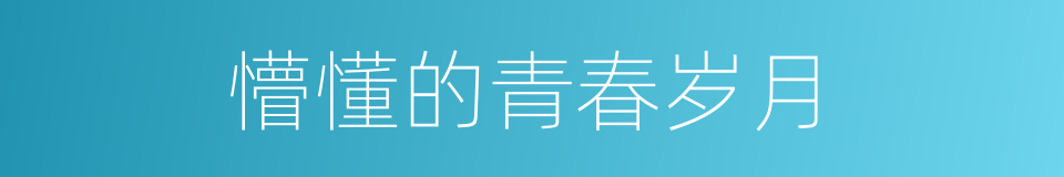 懵懂的青春岁月的同义词