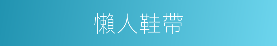 懶人鞋帶的同義詞