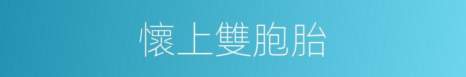 懷上雙胞胎的同義詞