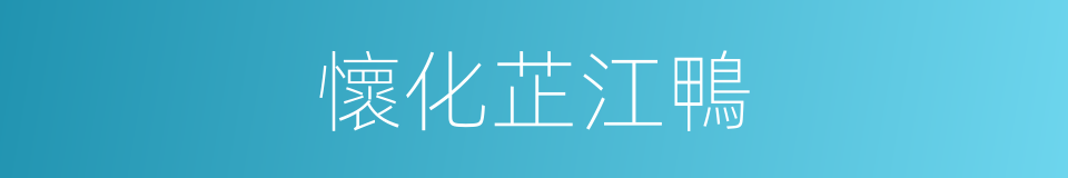 懷化芷江鴨的同義詞