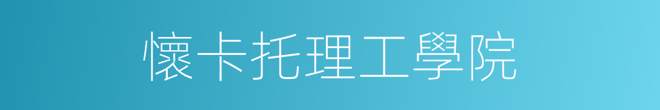 懷卡托理工學院的同義詞