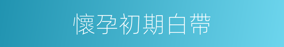 懷孕初期白帶的同義詞