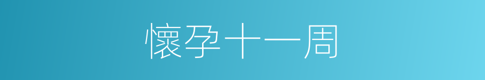 懷孕十一周的同義詞