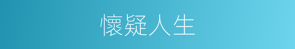 懷疑人生的意思