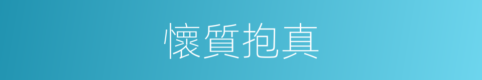 懷質抱真的意思