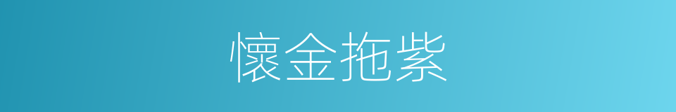 懷金拖紫的意思