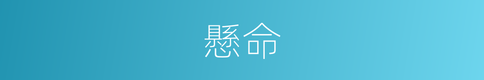 懸命的意思