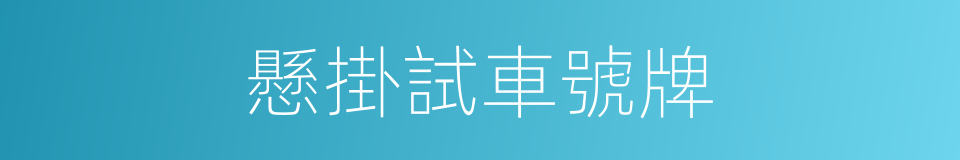 懸掛試車號牌的同義詞
