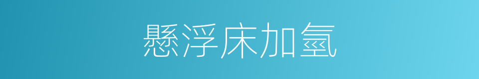 懸浮床加氫的同義詞
