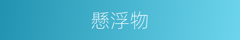 懸浮物的意思