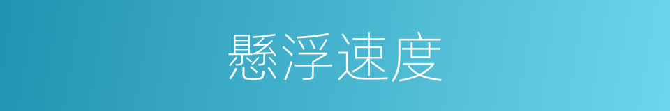 懸浮速度的同義詞