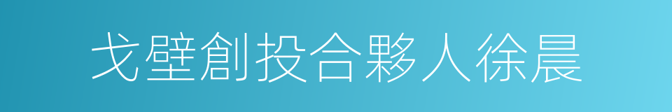 戈壁創投合夥人徐晨的同義詞