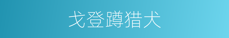 戈登蹲猎犬的同义词
